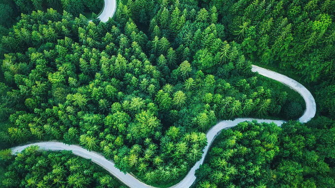 Straße, die sich durch einen Wald schlängelt; aus der Vogelperspektive