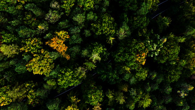 2025-12-18_EUDR_PI.png 2025-12-18_EUDR_PI.png