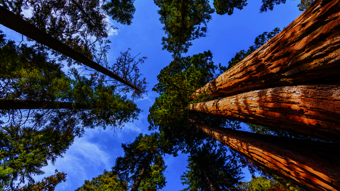 Kein_Titel__1920_x_1080_px___LinkedIn-Werbeanzeige_mit_Einzelbild__45_.png Kein_Titel__1920_x_1080_px___LinkedIn-Werbeanzeige_mit_Einzelbild__45_.png